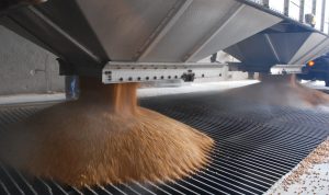 Flowability Aids for Coal and Iron Ore: What Every Bulk Material Handler Must Know